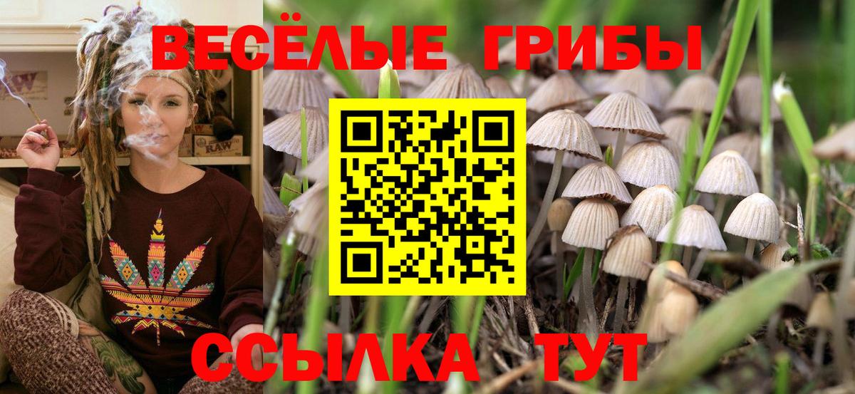 Галлюциногенные грибы мицелий  Вход с VPN  Заволжье  Галлюциногенные грибы GOLDEN TEACHER 