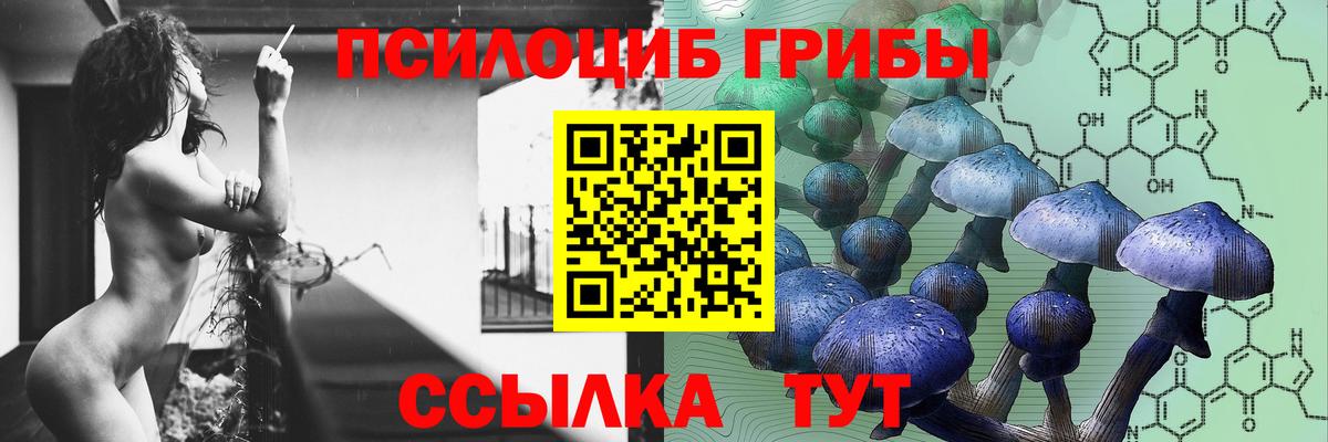 Псилоцибиновые грибы Psilocybine cubensis Заволжье
